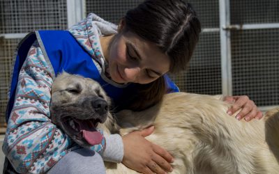 Volontaria con cane