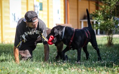 Foto di volontario con cane